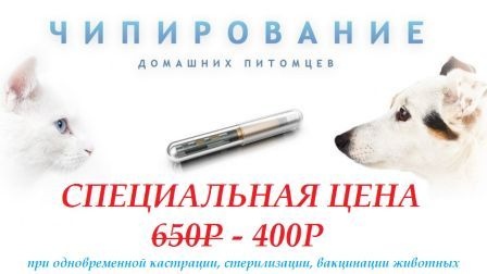 Чипирование домашних животных