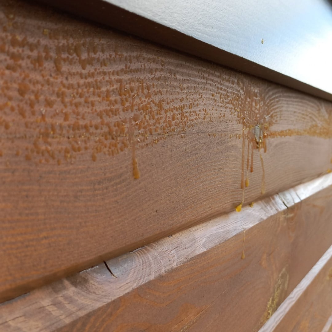 Смола на фасаде - проблема в покрытии?