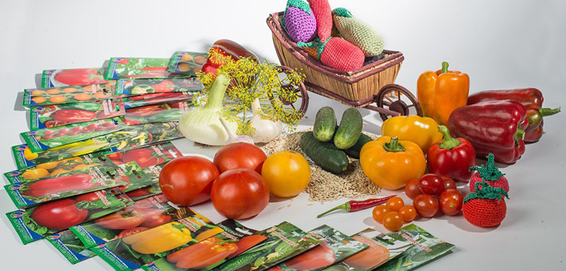 Вятские семена рядом с вами