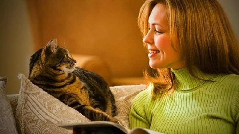 Нравится ли кошкам, когда вы с ними разговариваете? Понимают ли они это?