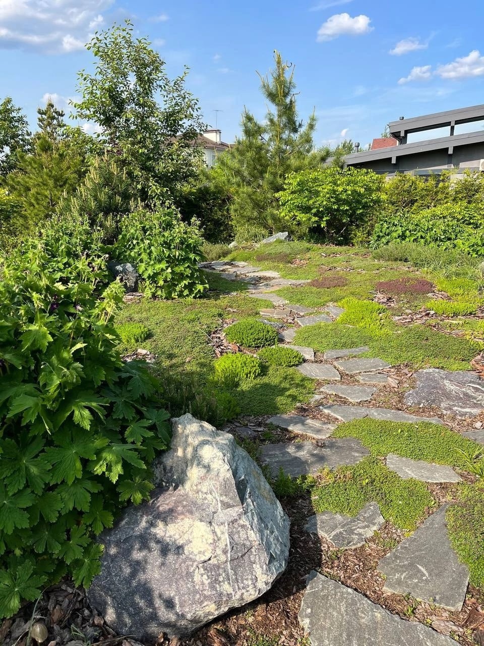 Планируете создание сада на своем участке?