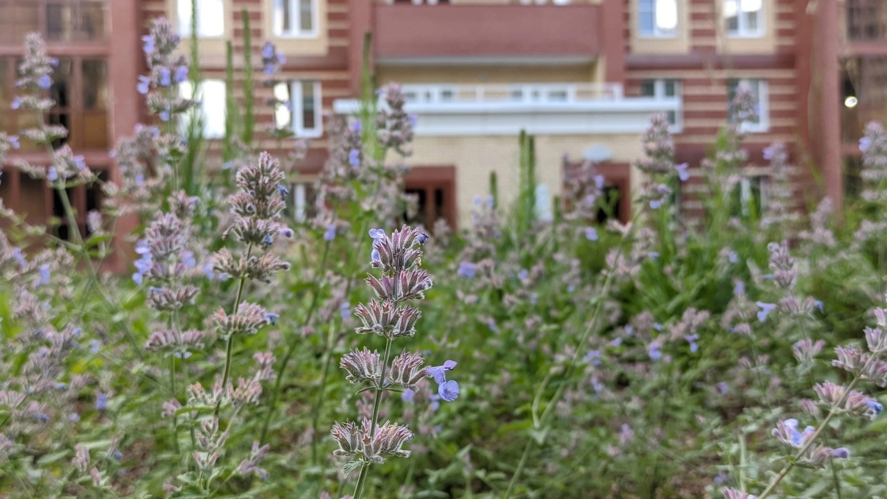 Ландшафтный дизайн — как вклад в вашу энергию и здоровье