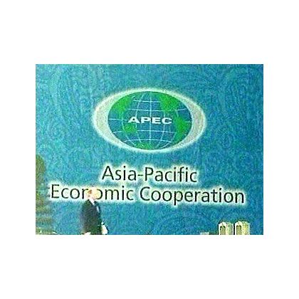 Единство в борьбе с кризисом: на словах или на деле? Эксперт комментирует итоги саммита АТЭС