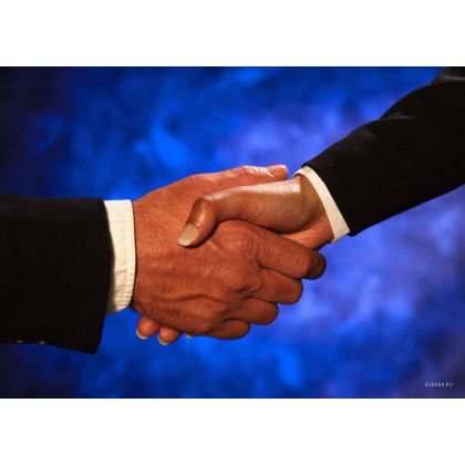 Помещение муниципальной библиотеки в центре Кирова достанется рекламной фирме без аукциона