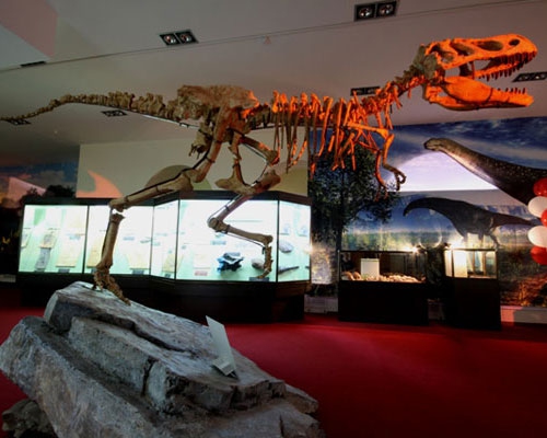 Праздничные мероприятия, посвященные 18-летию Вятского палеонтологического музея
