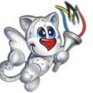 Огонь Универсиады прибудет в Киров 7 июня!