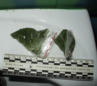 В кировском баре «Che Pay» ночью прошла внеплановая проверка наркоконтроля