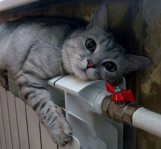 12 мая в Кирове завершится отопительный сезон