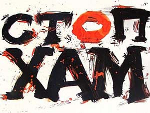 В Кирове появилось отделение организации «СтопХам»