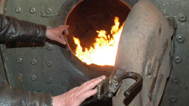 Чиновница из Кировской области сожгла щенка в топке, чтобы напугать своих подчиненных