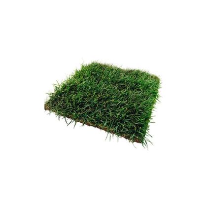 В Кирове установлены следующие цены выкупа земли, находящейся под зданиями: