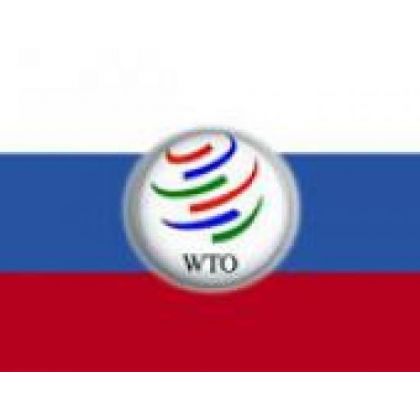 Лишь 6 процентов кировских субъектов малого бизнеса готовы работать в условиях ВТО