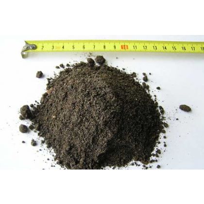 Кировская земля подорожает благодаря новому коэффициенту