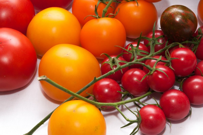 Лучшие сорта томатов для Волгоградской области